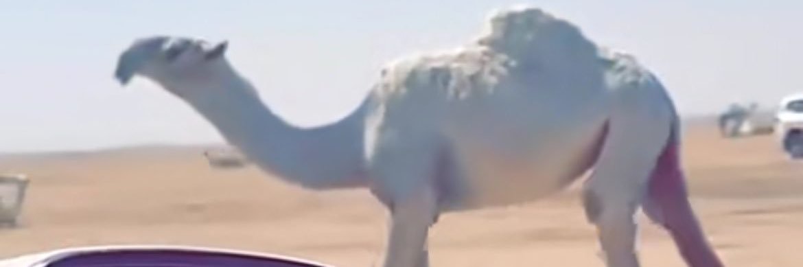 احمد بن جازع العتيبي banner