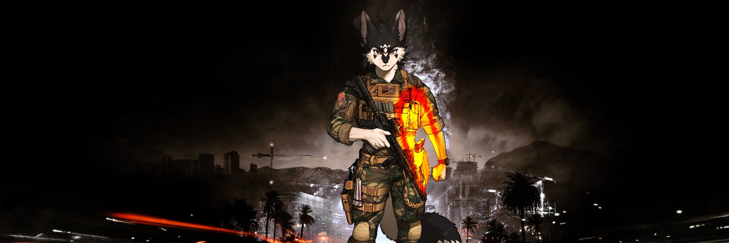 Okami banner