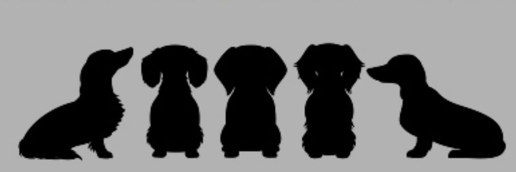 loyrette's profile banner image
