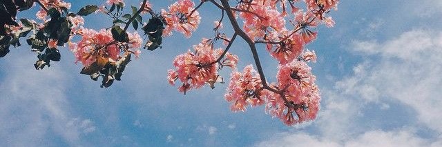 yetilovesyou's profile banner image