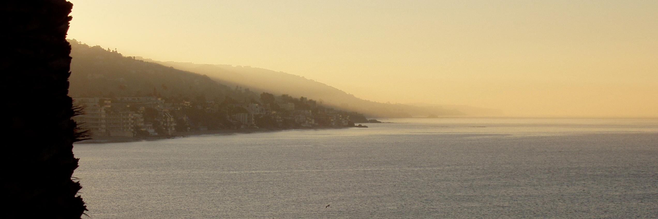 Michael A Maxsenti banner