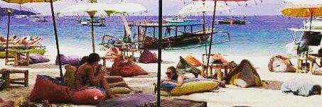 fanly banner