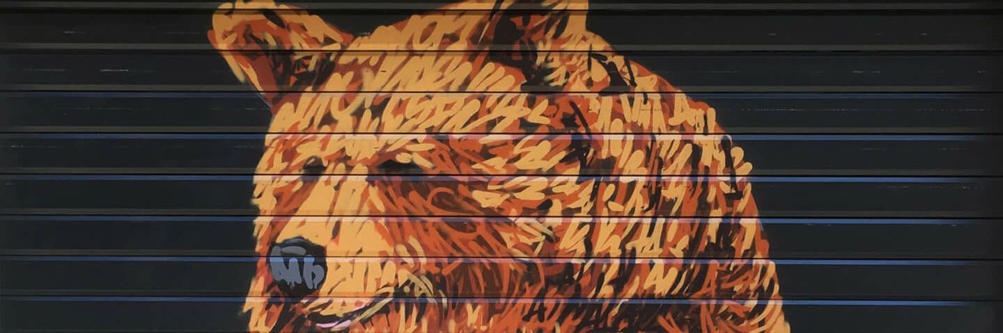 Corey Fujimoto banner