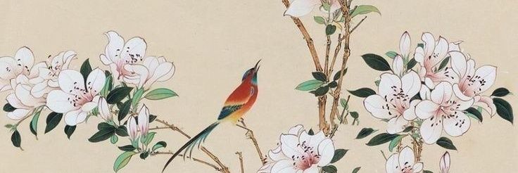 Merihanyu's profile banner image