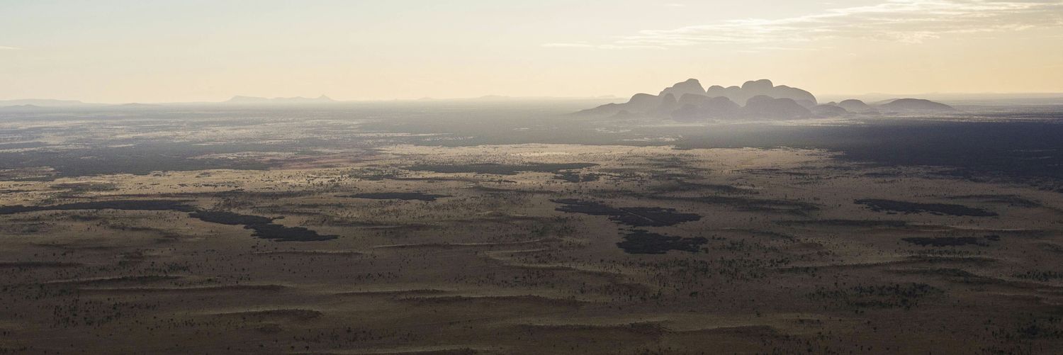 Rhonda Norman banner