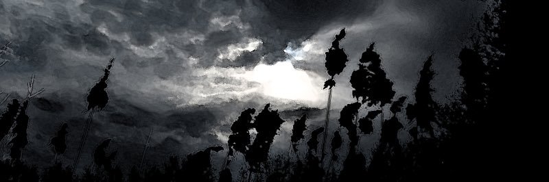 Siuldh's profile banner image
