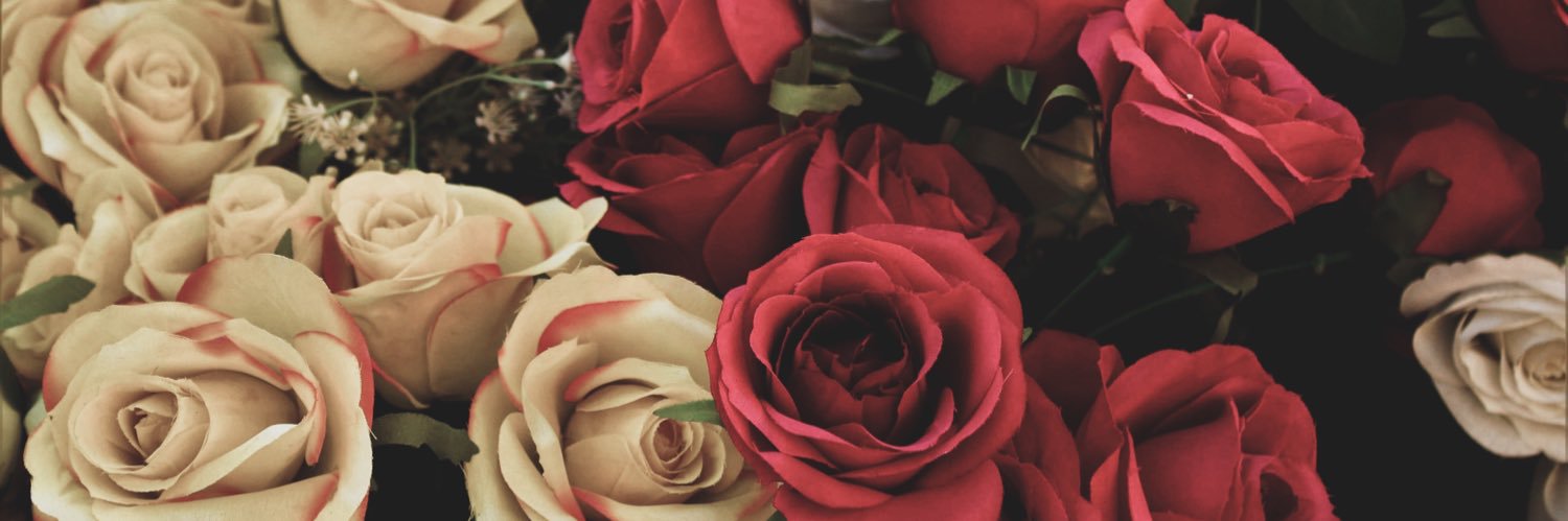 FernzMauro's profile banner image