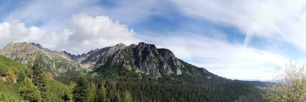 ZPalkova Profile Banner