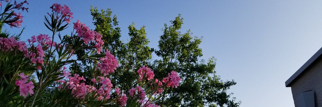 Sheilapm15's profile banner image