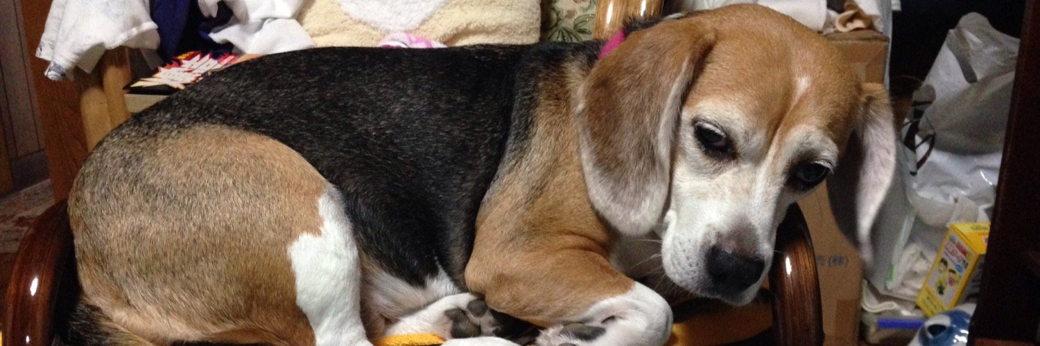 風間健次郎〜お取引き用〜 banner