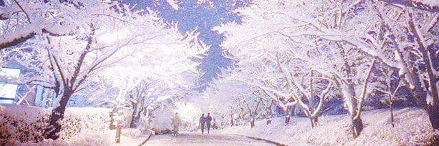 sugim00371's profile banner image
