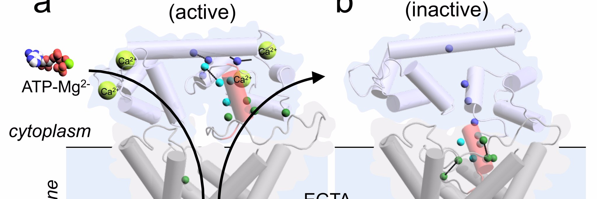 Steven Harborne banner