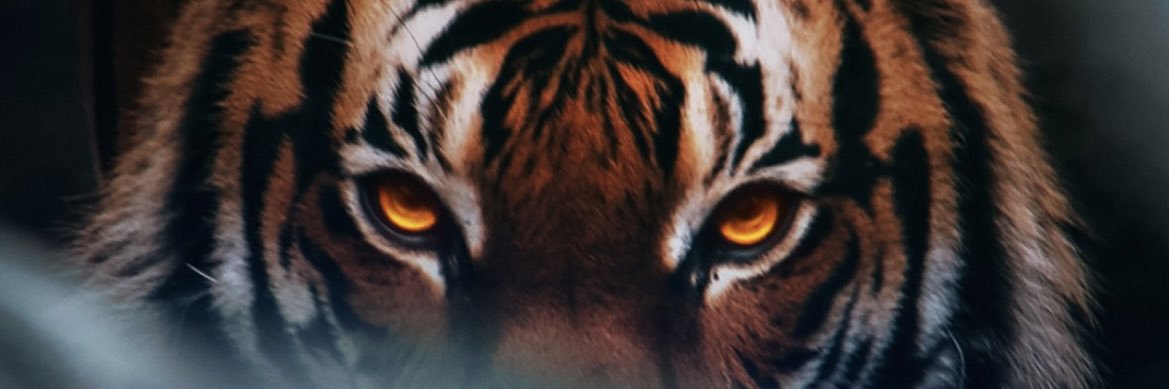 1CON1CS's profile banner image