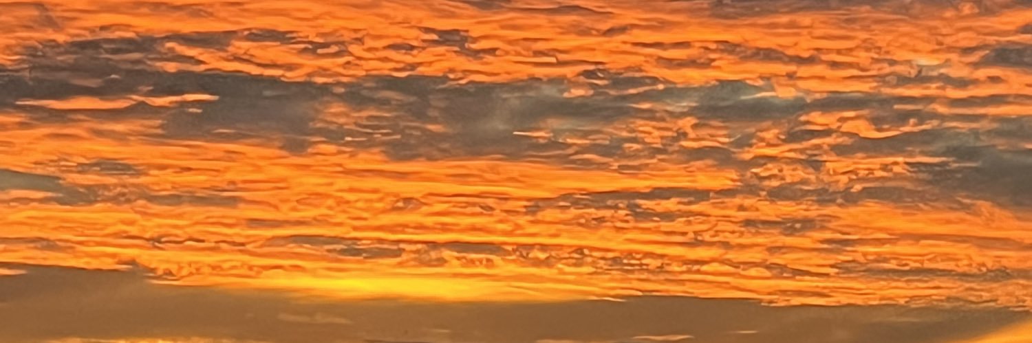 shnnvscl's profile banner image