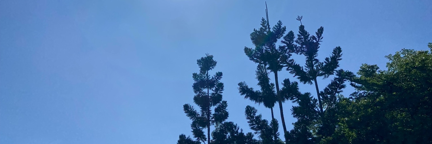 bielberii's profile banner image