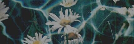 stadtkidd's profile banner image
