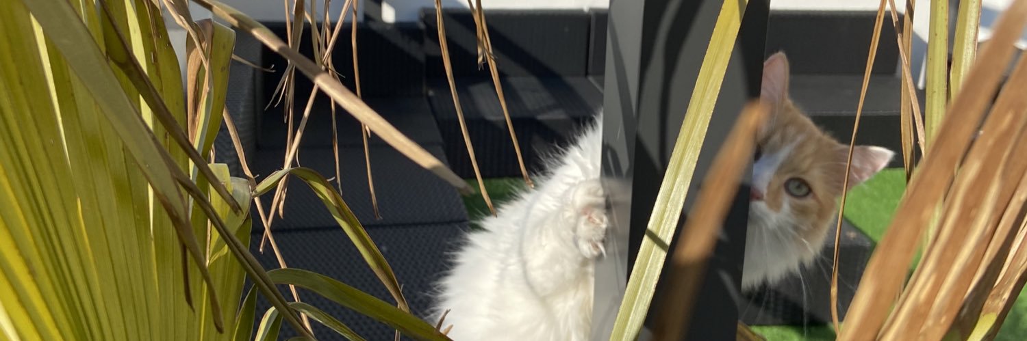 LeraGerych's profile banner image