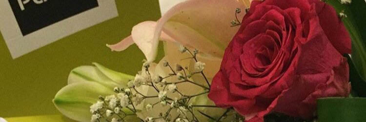 halaa1977's profile banner image