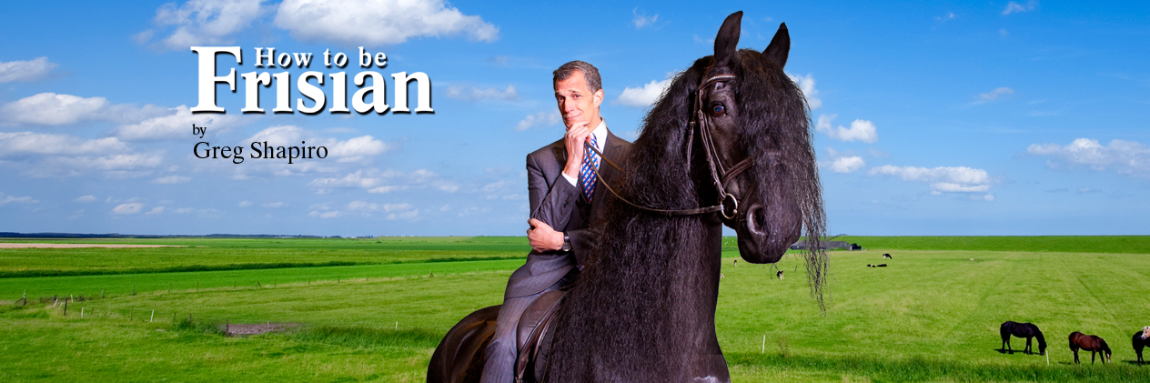 How2BFrisian's profile banner image