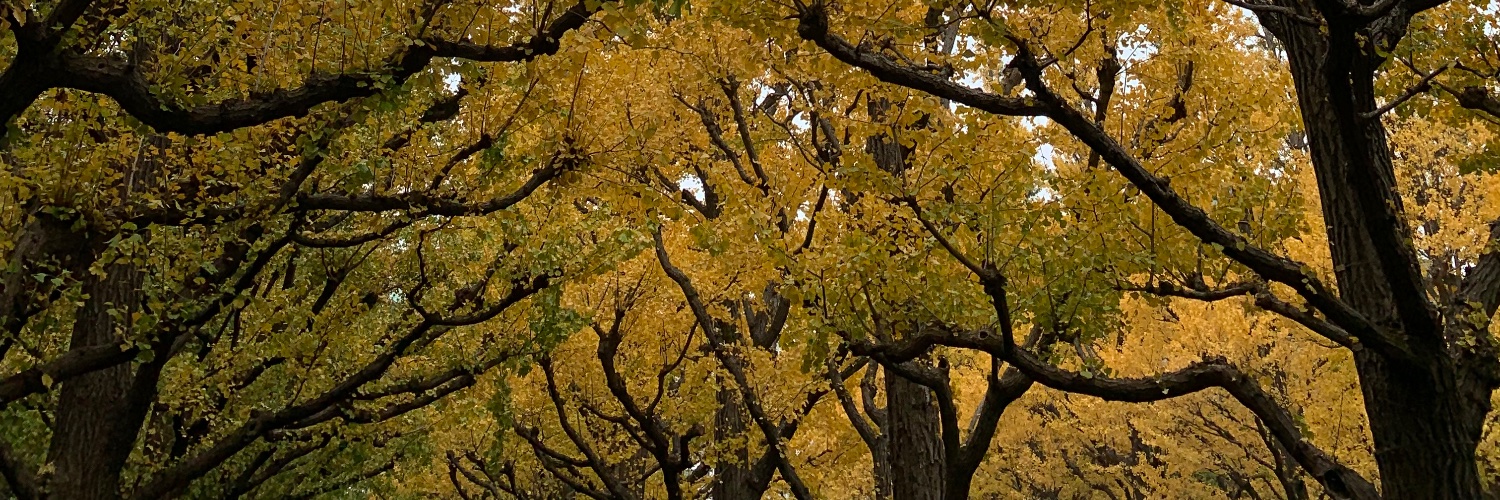 7ko_426's profile banner image