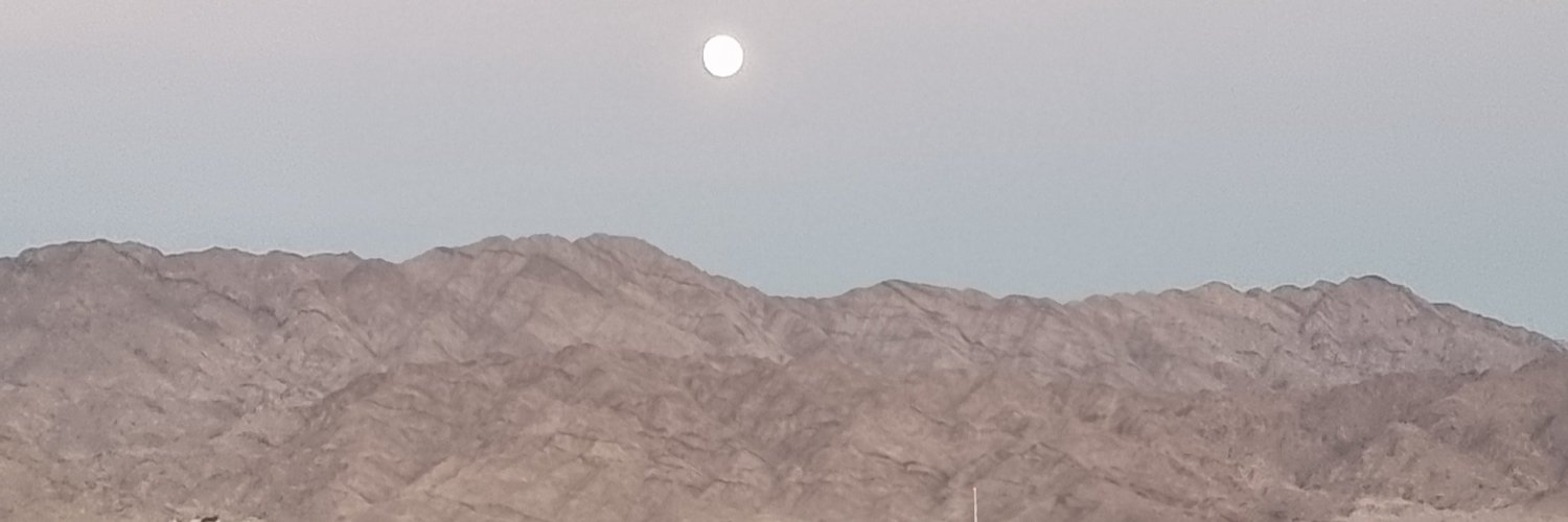 NochaToy's profile banner image