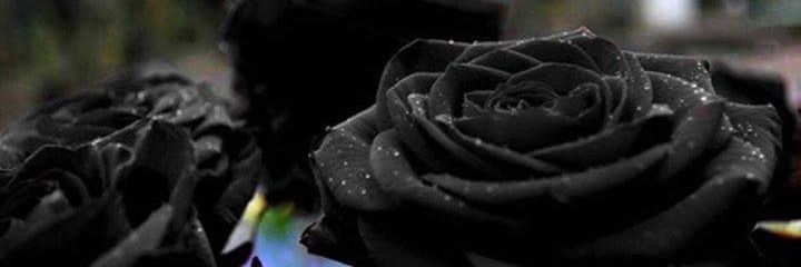 Ms_M_Powered's profile banner image