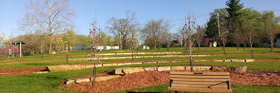 Chldren's Grove banner