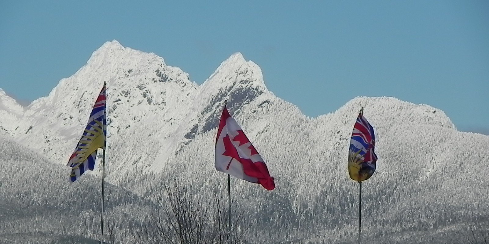 leoninlangley's profile banner image
