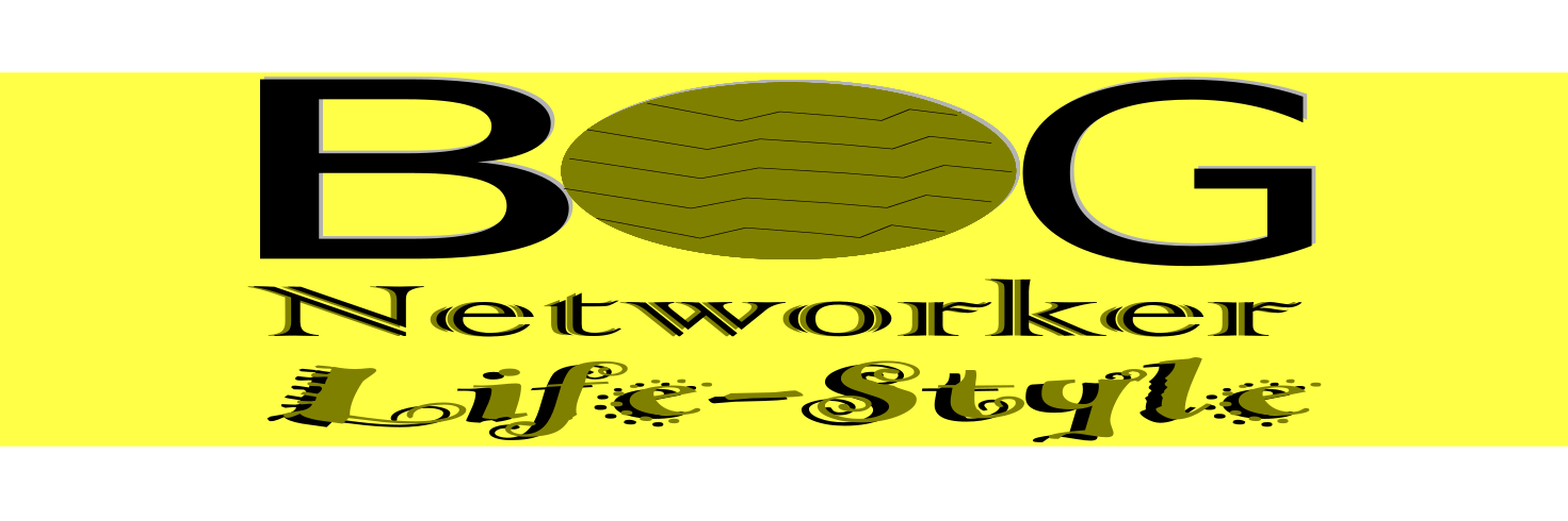 Bog_Networker's profile banner image