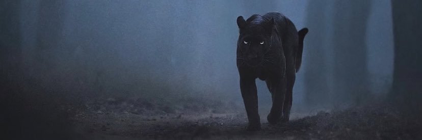 Bandman Maje🩸 banner