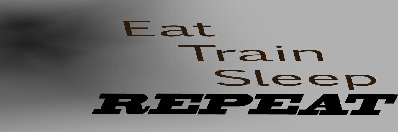 FinkShady banner