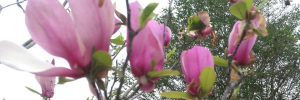 AH_Gaiser Profile Banner