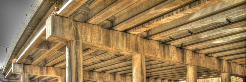 Lauren Walker banner