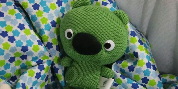 Noelia Alonso banner