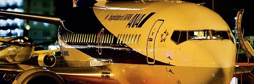 Fly_panda767's profile banner image