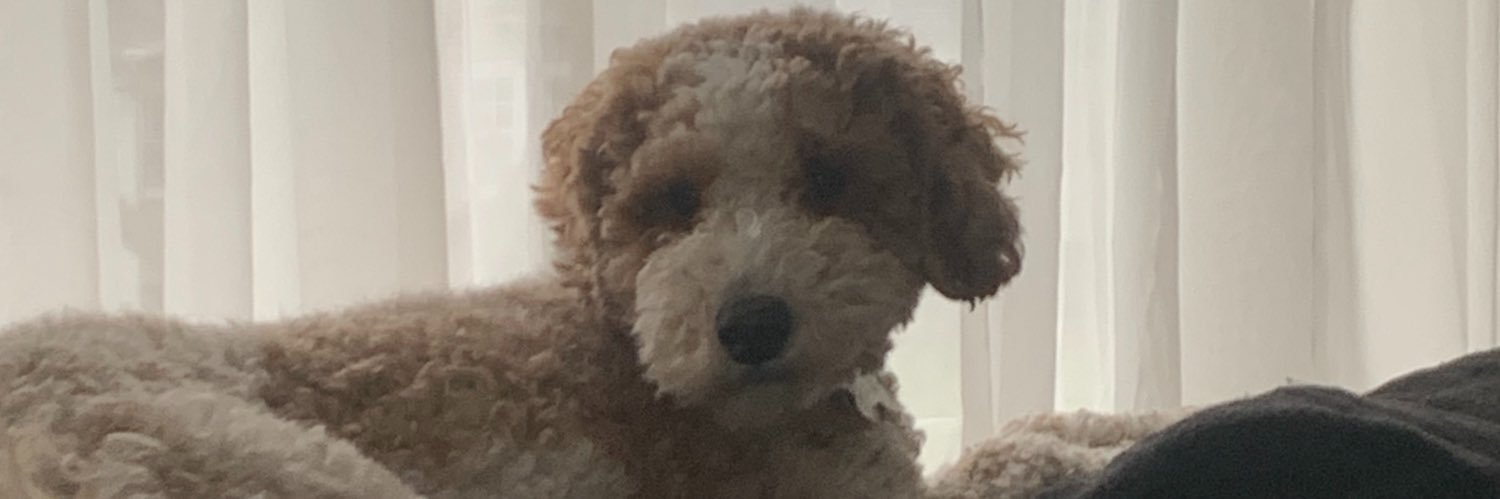 BarstoolDirte's profile banner image