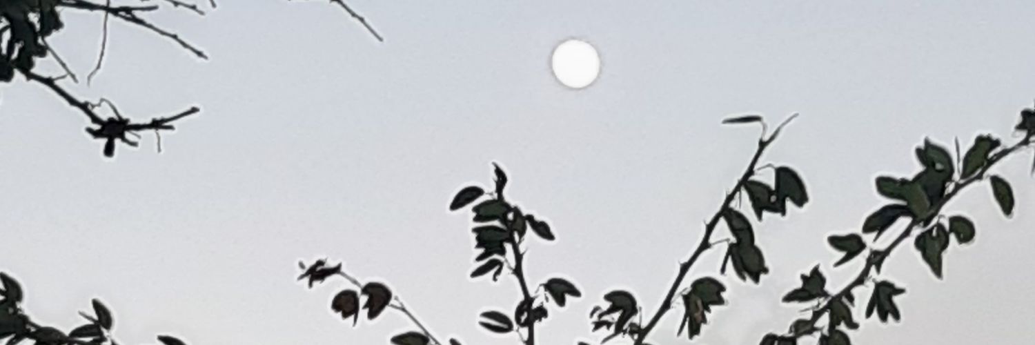 aabuwasam's profile banner image