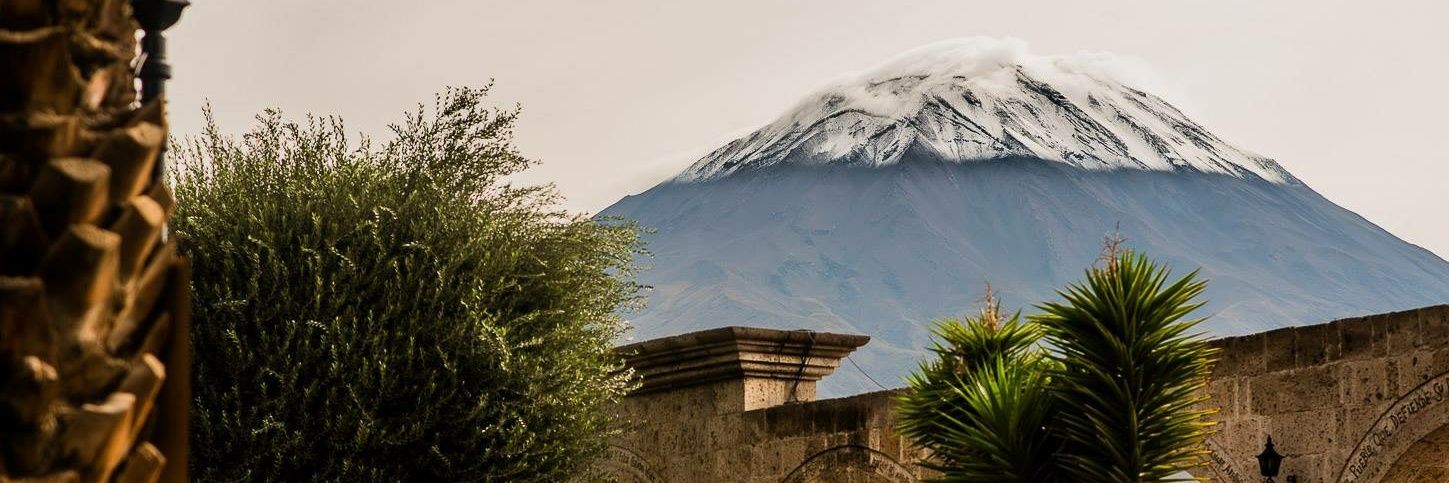 Carlos ElKing 👑 banner