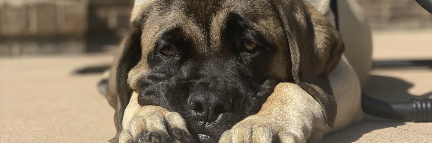 BentonCaitlyn's profile banner image
