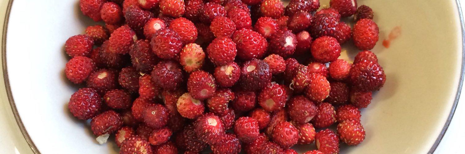 Eva Edwardsson banner