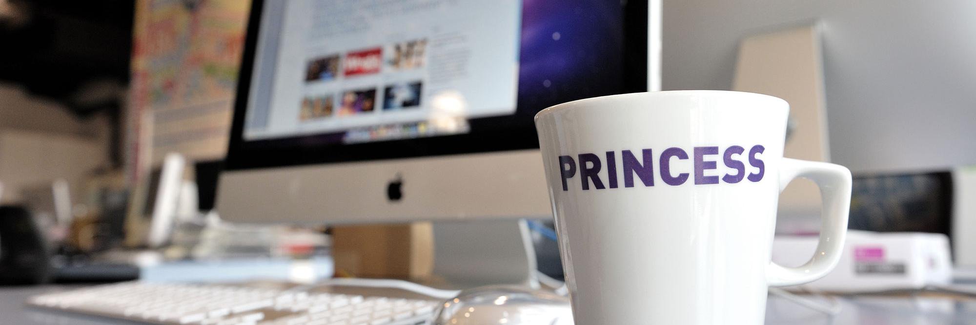 princesstv_cast's profile banner image