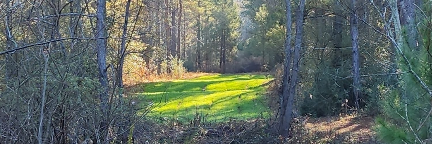 Brandon Wright banner