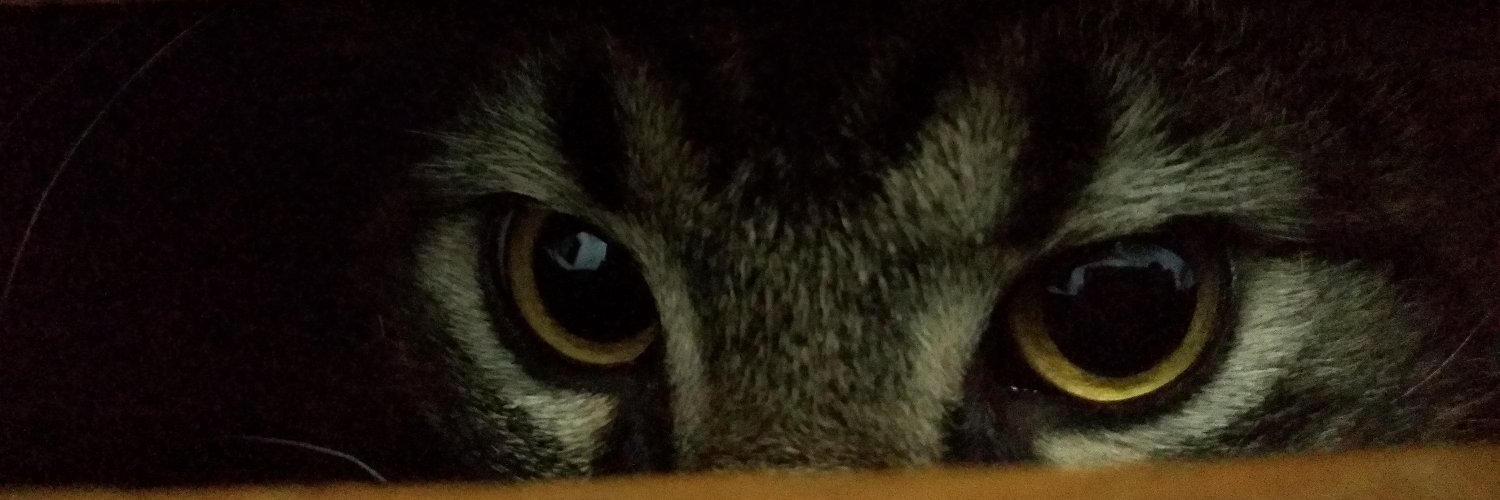 BsSerafim's profile banner image