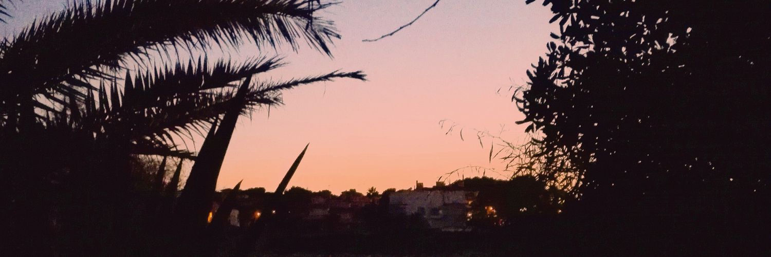 xcarlaa's profile banner image