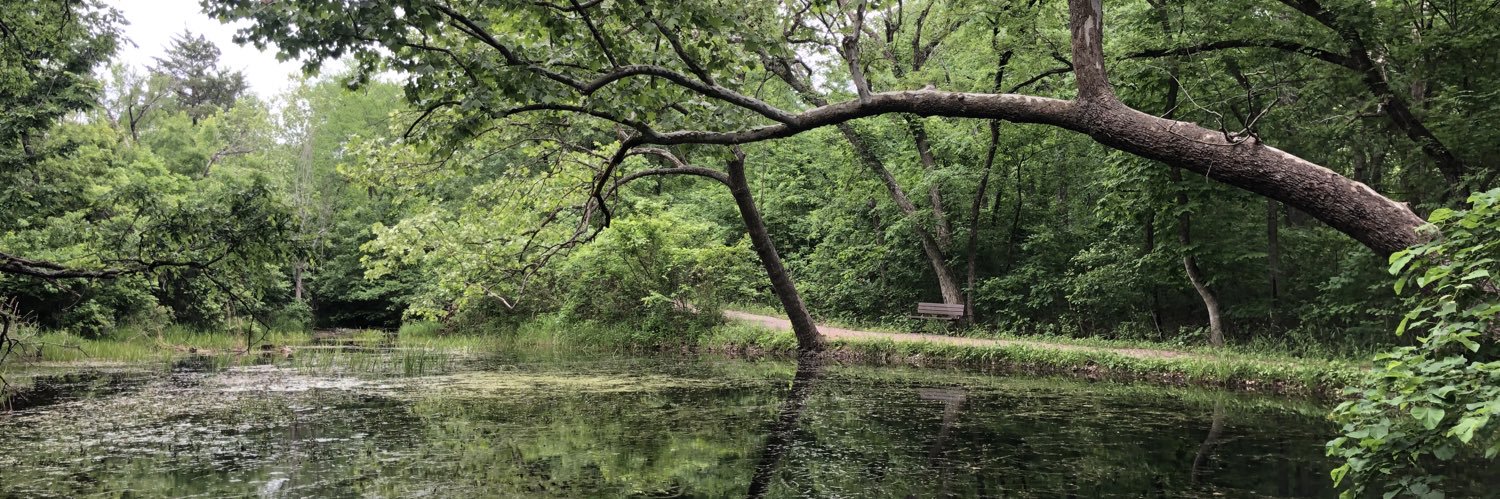 Florian Rochestie, M.D. banner