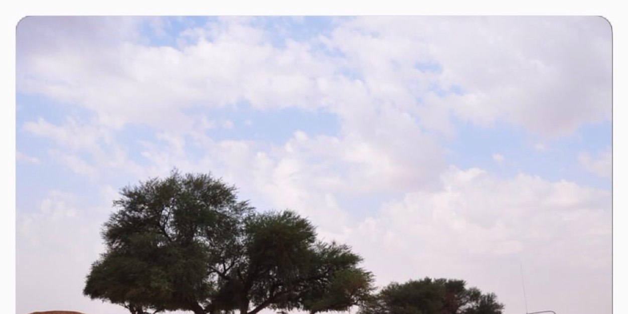 shma25's profile banner image
