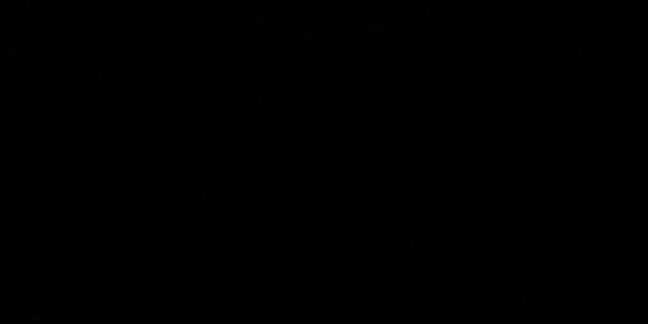 CraigDaAnimal's profile banner image