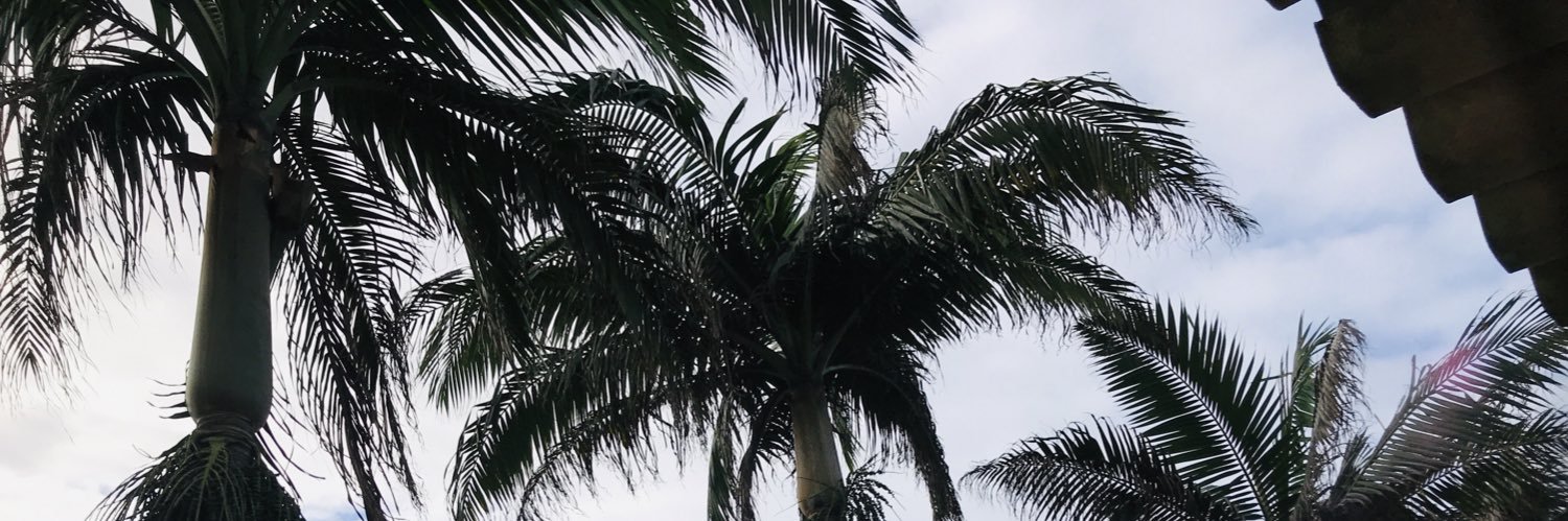 PRVTSIYA's profile banner image