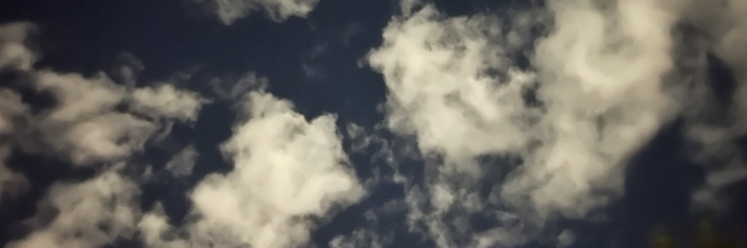 Christine Marie banner