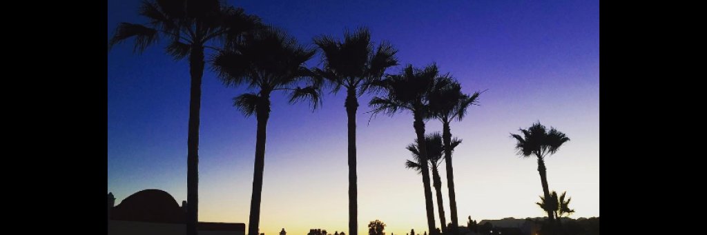 AnthonySCasey1's profile banner image